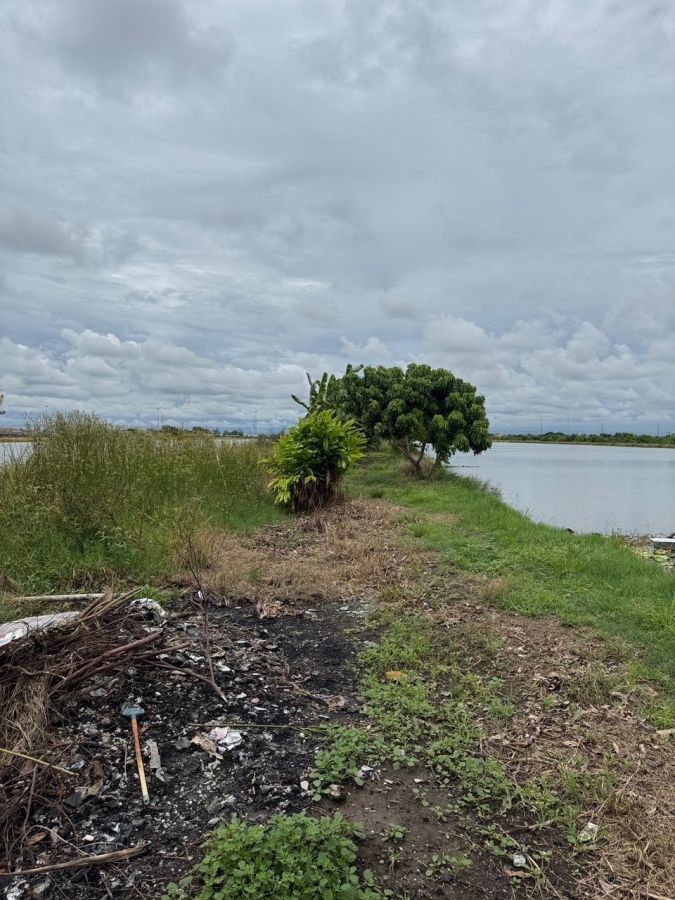ขายที่ดิน - ขาย ที่ดินบางบ่อ ห่างจากถนนรัตนโกสินทร์ 200 ปี เพียง 200 เมตร ต.บางบ่อ อ.บางบ่อ จ.สมุทรปราการ ราคาต่อรองได้