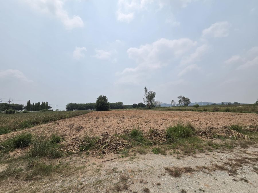 ขายที่ดิน - ขายที่ดินหนองเสือช้างเนื้อที่ 2 ไร่ ติดถนน2ด้าน ใกล้ถนนเส้น4064-1.3กม. ใกล้นิคมWHA3-5กม. อ.หนองใหญ่ จ.ชลบุรี