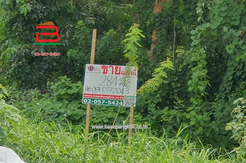 ขายที่ดิน - ที่ดินเปล่า หมู่บ้าน ฟีนิกซ์ ปาร์ค ซอยไอยรา 28 เนื้อที่ 284 ตรว. ถนนไอยรา ตำบลคลองสอง อำเภอคลองหลวง จังหวัดปทุมธานี