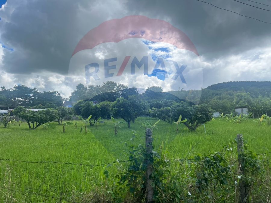 ขายที่ดิน - ขายที่ดินวิวภูเขา เนินสวยทำเลทองเพียง 1.6 ล้าน!