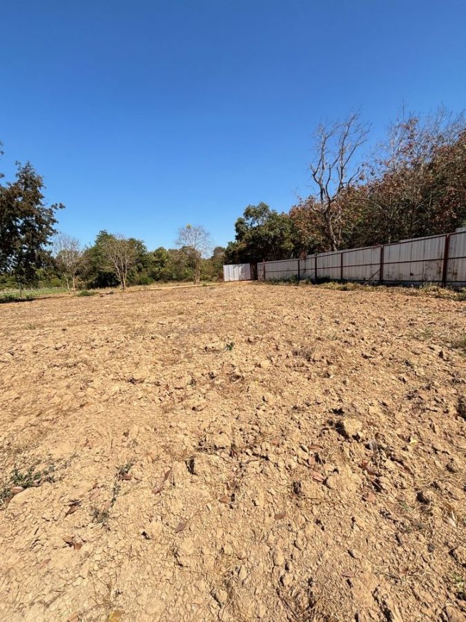 ขายที่ดิน - ขายที่ดินขนาด 13 ไร่ 3 งาน 70 ตารางวา อำเภอพนัสนิคม จังหวัดชลบุรี ทำเลดีทอง เหมาะสร้างบ้านจัดสรร , โกดัง , บ้านพัก