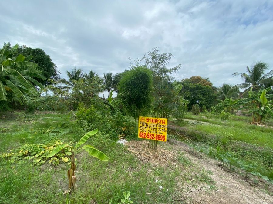 ขายที่ดิน - ขายที่ดินเปล่า ถนนเลียบคลองขุนศรี ตำบลไทรใหญ่ อำเภอไทรน้อย จังหวัดนนทบุรี