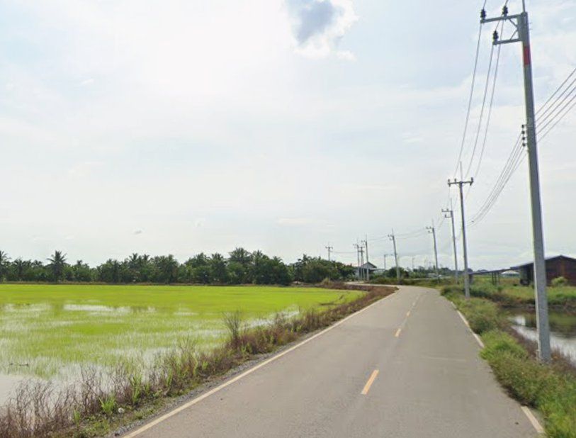 ขายที่ดิน - ขายที่ดินบางแก้วซอย3 เนื้อที่ 8 ไร่ ติดถนนลาดยาง ใกล้สวนปาล์มฟาร์มนกและถนน3200-5กม. เมืองฉะเชิงเทรา