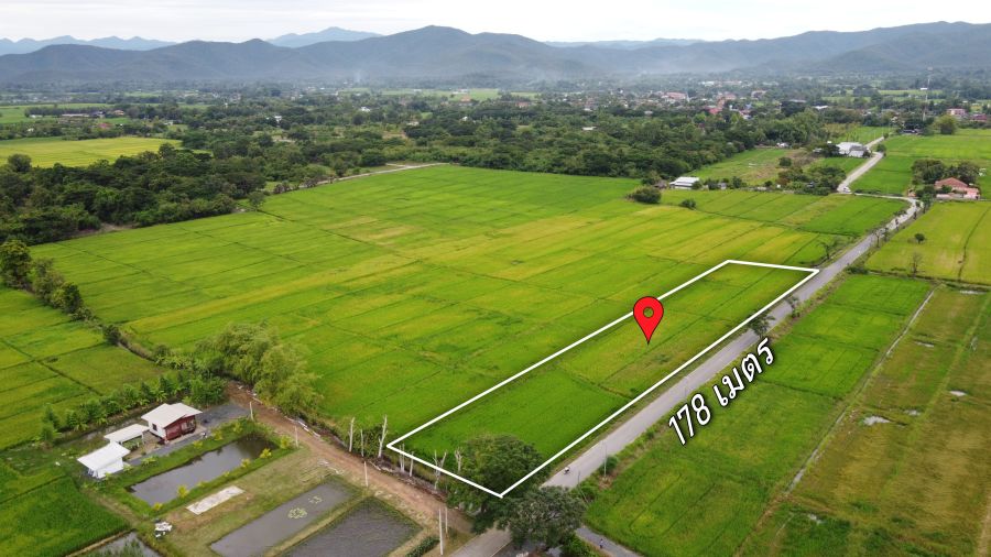 ขายที่ดิน - ขายที่ดิน 2-3-49 ไร่ น้ำ-ไฟ-เน็ตพร้อม หน้ากว้างติดถนนสุดๆ