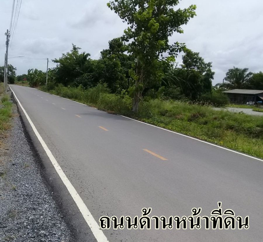 ขายที่ดิน - ขายที่ถมแล้วบางส่วน 2 ไร่ ติดถนนสองด้าน ต.บ้านโพธิ์ อ.บ้านโพธิ์ จ.ฉะเชิงเทรา