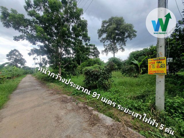 ขายที่ดิน - ขายที่ดิน มโนรมย์ ชัยนาท 8ไร่ 2 งาน 49 ตร.ว.ท มีน้ำไฟ ผ่านหน้าที่ ห่างจากถนนหลักพหลโยธินไม่ถึง 10 นาที