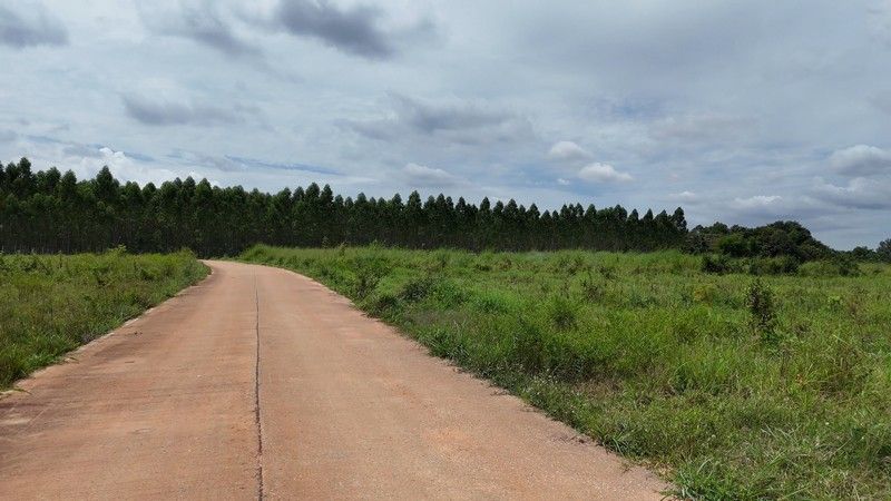 ขายที่ดิน - ที่ดิน แบ่งขาย ติดโรงงาน พนัสนิคม นาวังหิน ใกล้ถนน 331 เพียง 1.3 กม.