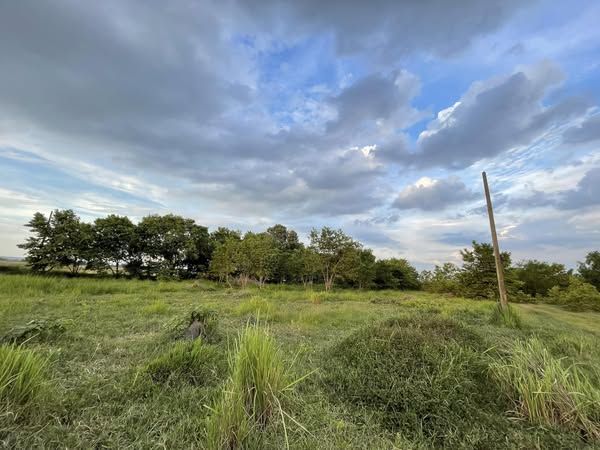 ขายที่ดิน - ขายที่ดินจัดสรรดอนฉิมพลี 83 ตรว. ใกล้ตลาดคลอง16 ใกล้ถนน4016-700เมตร อ.บางน้ำเปรี้ยว ฉะเชิงเทรา