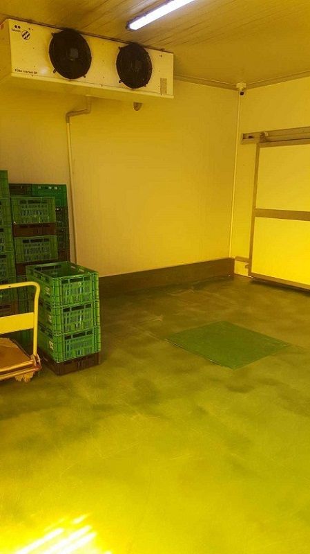 ให้เช่าโรงงาน / โกดัง - ให้เช่าโกดังห้องเย็นสาย5 ไร่ขิง สามพราน มีพื้นที่รวม 400 ตารางเมตร ห้องเย็นอย่างเดียว 100 ตารางเมตร