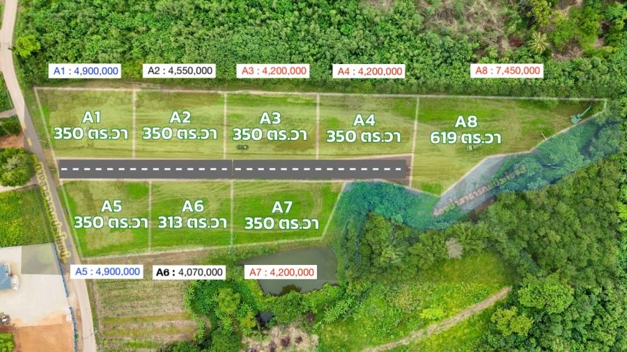 ขายที่ดิน - ขายที่ดินวิวเขา หมูสี ปากช่อง เขาใหญ่ ใกล้ถนนธนะรัชต์