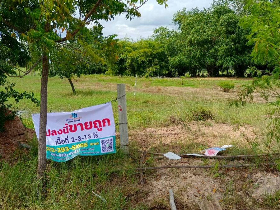 ขายที่ดิน - ขายด่วน!! ที่ดินเปล่า ติดถนนใหญ่ 3342 - ห้วยกระเจา กาญจนบุรี เนื้อที่ 2 ไร่ 313 ตร.ว. ทำเลดี เดินทางสะดวก เข้าเมืองง่าย ไม่ไกลกรุงเทพฯ