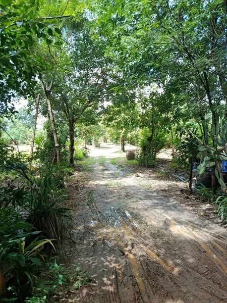 ขายที่ดิน - ที่ดินบรรยากาศดี ทำเลทอง วังปลา ต.แกลง อ.ระยอง