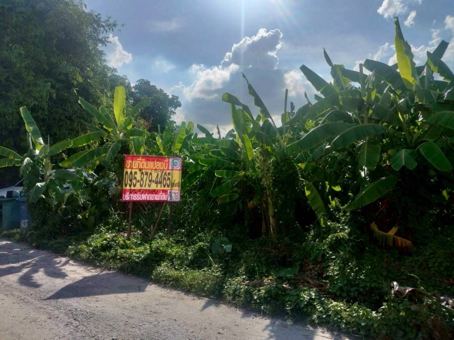 ขายที่ดิน - ขายที่ดินถนนบางกรวย-ไทรน้อย 99 ตารางวา ติดถนนสาธารณะ ถมแล้ว ซอย อุดมทรัพย์ อ.บางบัวทอง จ.นนทบุรี