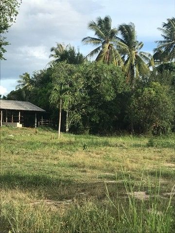 ขายที่ดิน - ขายที่ดินวิวธรรมชาติ เจ้าของขายเอง 1 ไร่ 2 งาน ตำบลเขากระปุก อำเภอท่ายาง