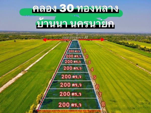 ขายที่ดิน - คลอง 30 บ้านนา (ทองหลาง)200 ตารางวา 580,000 บาท ผ่อนนาน 40 เดือน ฟรีดอกเบี้ยไม่มีดาวน์ ไม่เช็คเครดิต o954ol8698