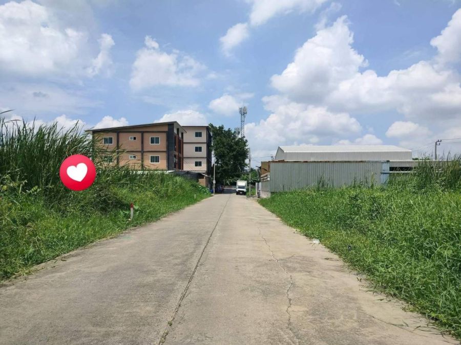 ขายที่ดิน - ขายที่ดินซอยกันตนา บางใหญ่ 203.7 ตรว. หน้ากว้างสวย