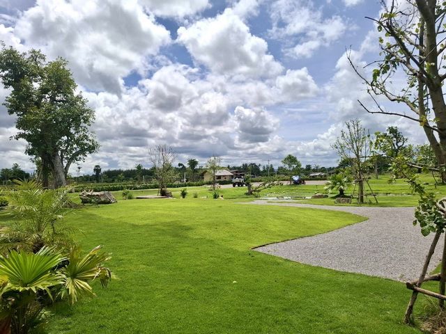 ขายที่ดิน - ขายที่ดิน 3 ไร่ เจ้าของขายเอง ต.ท่าไม้รวก อ.ท่ายาง จ.เพชรบุรี ขนาดที่ตั้ง