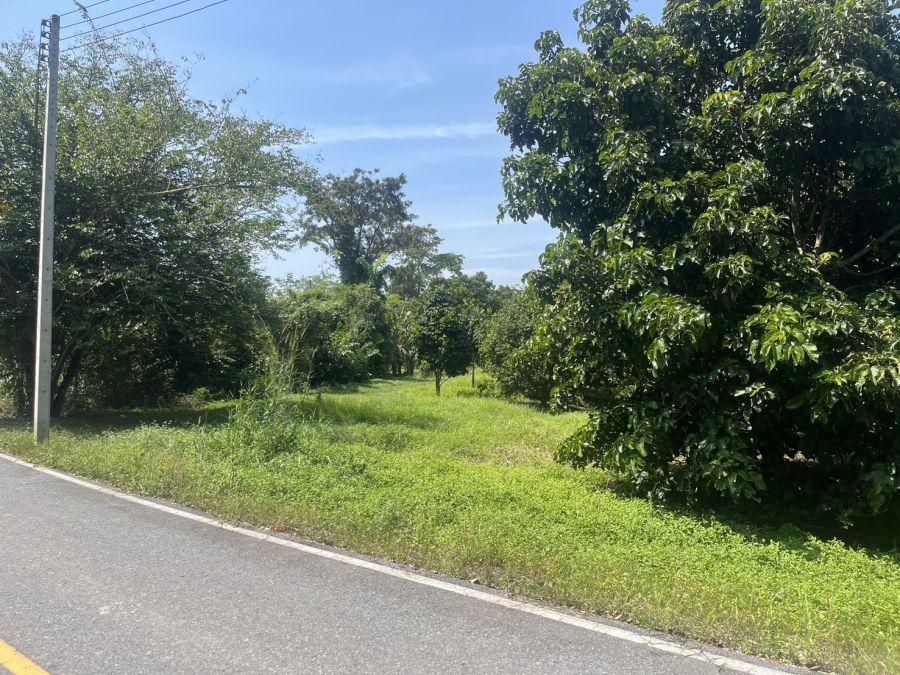 ขายที่ดิน - ขายที่ดิน 1 ไร่ 2 งาน ต.หินตั้ง อ.เมืองนครนายก ติดถนน วิวเขาชัด มีโฉนด