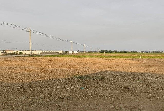 ขายที่ดิน - ขายที่ดิน 2 แปลง 100 ตารางวา และ 168 ตารางวา ถมแล้ว หนองจอก กรุงเทพ