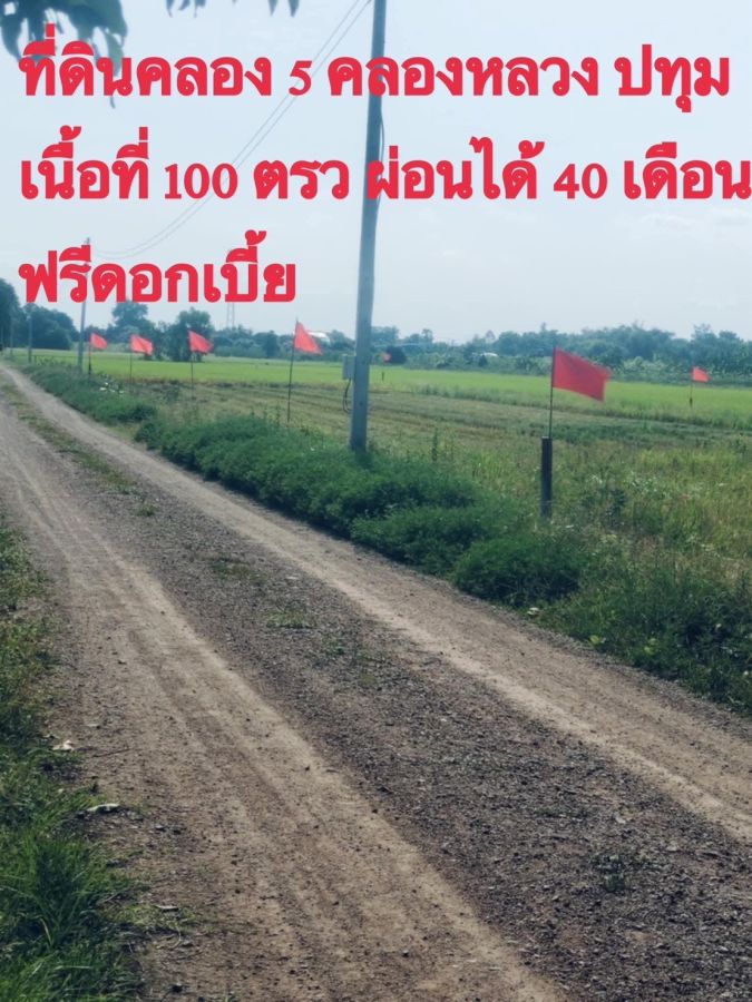 ขายที่ดิน - ที่ดินเงินผ่อนคลอง 5 คลองหลวงตะวันออกซอย 62 ผ่อน 40 เดือน ไม่เช็คเครดิตวางดาวน์ 100,000บาทผ่อนเดือนละ14,750บาทเนื้อที่100 ตรว.690,000บาท O95-4Ol86988