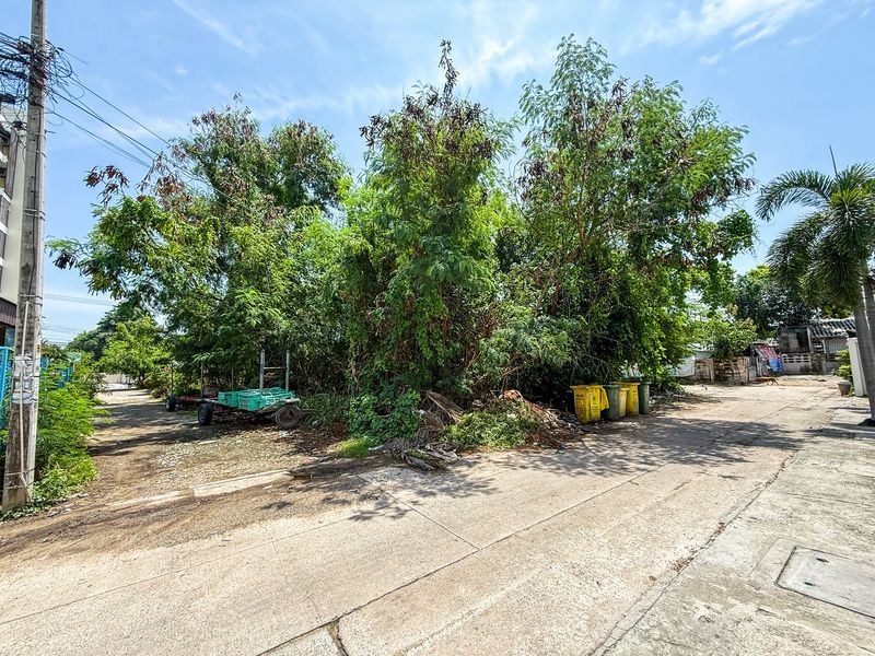 ขายที่ดิน - ขายที่ดินชลบุรี บางแสน ทำเลทอง แปลงสวย แหล่งชุมชน