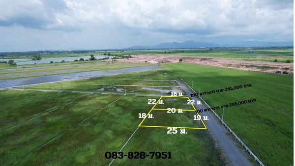 ขายที่ดิน - ขายที่ดิน 100 ตารางวา มีโฉนด ต.บางอ้อ อ.บ้านนา ขาย 265,000 บาท