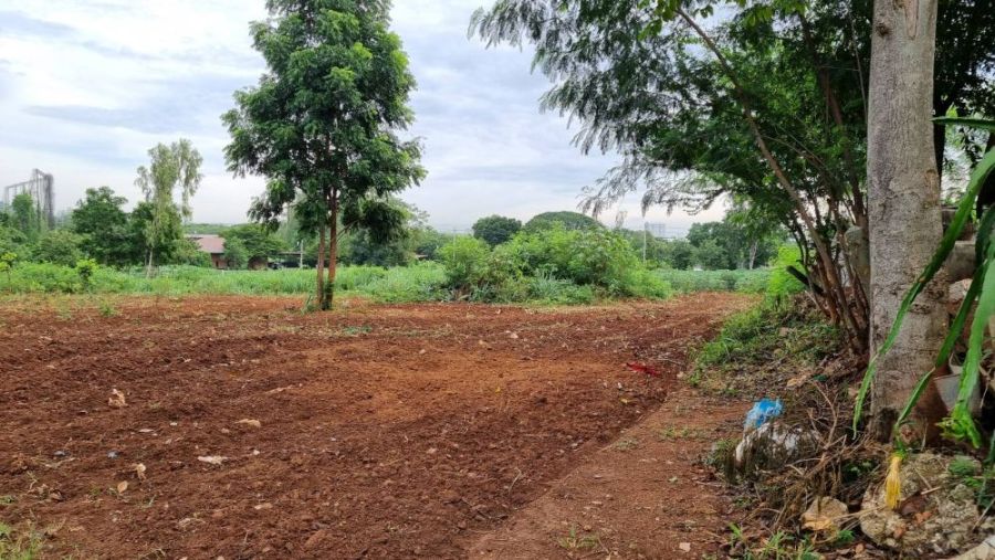 ขายที่ดิน - ขายที่ดินเปล่า ทำเลดี เดินทางสะดวก มีไฟเข้าถึง ต.ปากช่อง อ.ปากช่อง จ.นครราชสีมา