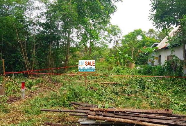 ขายที่ดิน - ที่ดินเปล่า ซอยคลองหกตะวันออก 98/1 ถ.รังสิต-นครนายก คลองหลวง ปทุมธานี