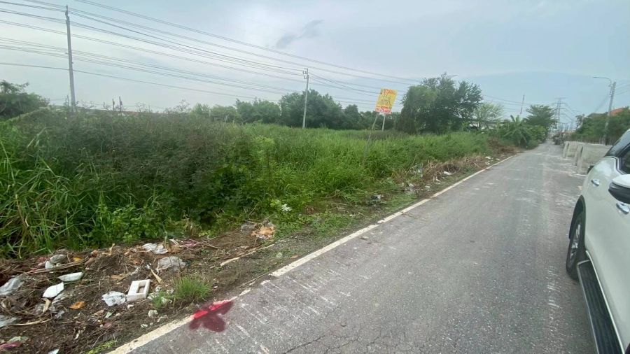 ขายที่ดิน - ขายถูก ดินถนนบางกรวย-ไทรน้อย 49 ตารางวา ติดถนนลาดยางสาธารณะ ซอย เทพประทาน 1 จ.นนทบุรี