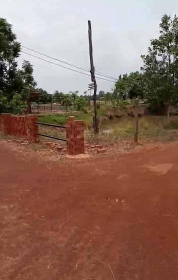 ขายที่ดิน - ขายถูกมาก!! ที่นา 11 ไร่ พร้อมบ่อน้ำ ติดถนน อ.ประจักษ์ศิลปาคม จ.อุดรธานี ใกล้นิคม ใกล้ใจกลางเมืองอุดรฯ