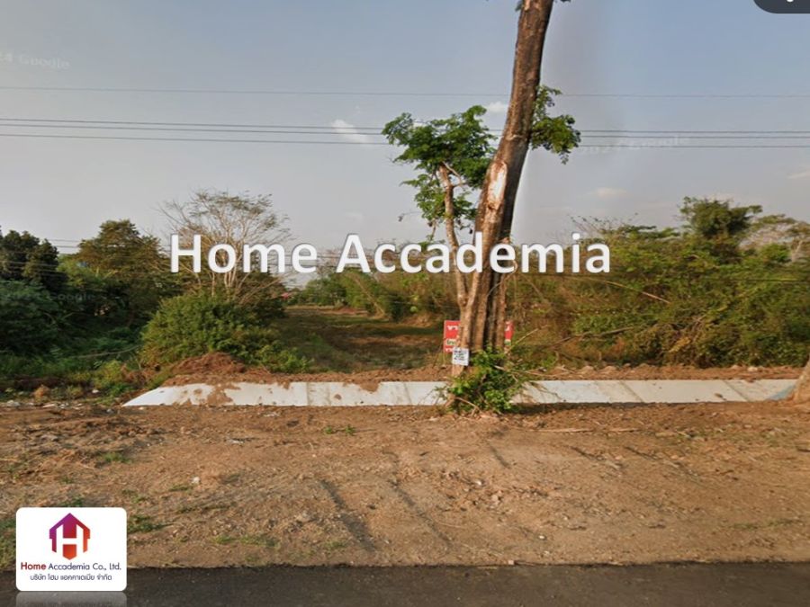 ขายที่ดิน - ขาย ที่ดิน 18 ไร่ ติดถนนหลัก221 (กันทรลักษ์-ศรีสะเกษ)