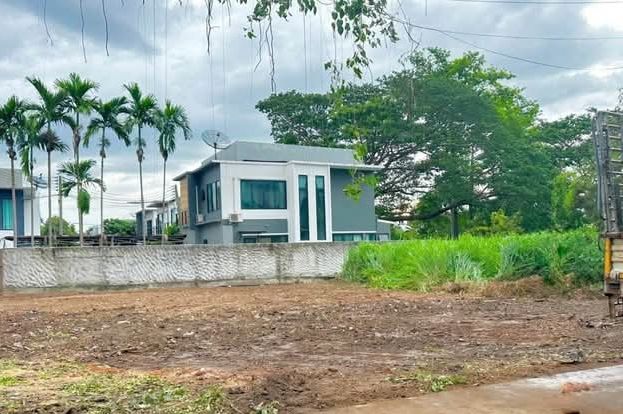 ขายที่ดิน - ขายที่ดินตำบลป่่าตันหลังแบงค์ชาติโฉนดพร้อมโอน