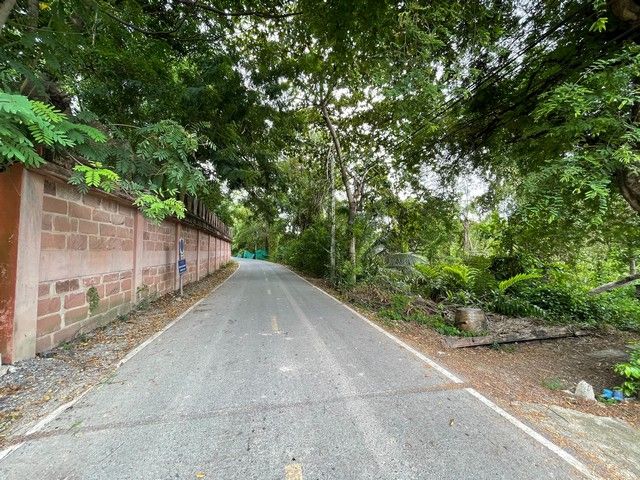 ขายที่ดิน - ขายที่ดินเปล่า บางไผ่ ใกล้วัดสังฆทาน นนทบุรี เนื้อที่ 2-0-45 ไร่ แปลงสวย ทำเลดี เดินทางสะดวก