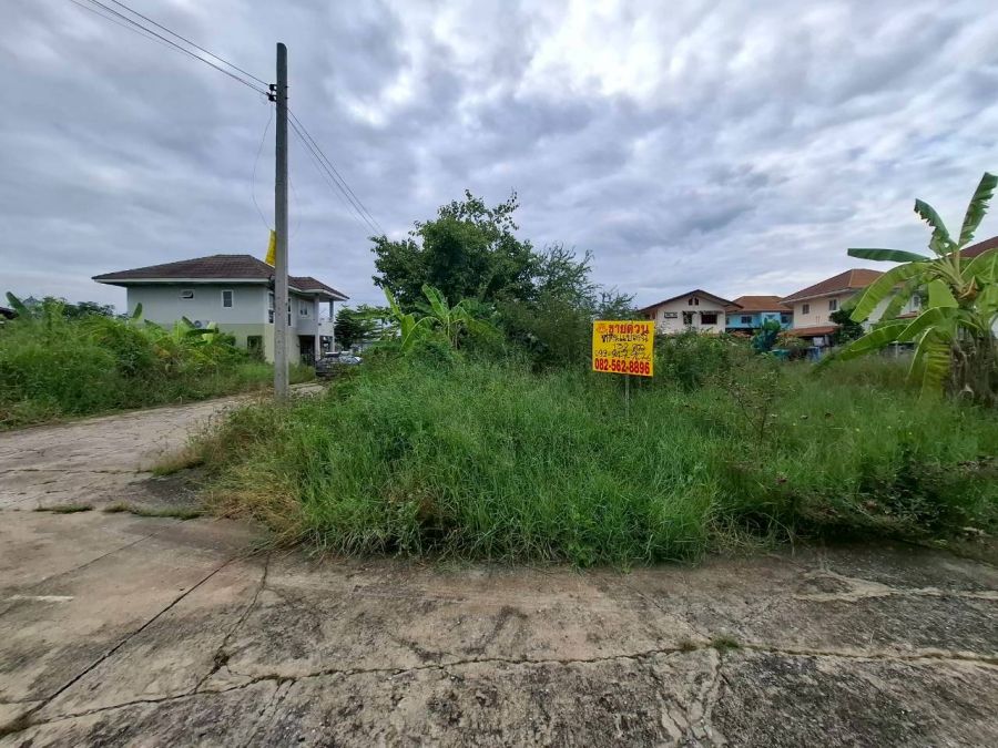 ขายที่ดิน - ขายที่ดิน แปลงมุม แถวนนทบุรี ซอยร่วมจิตแลนด์ บางคูรัด นนทบุรี