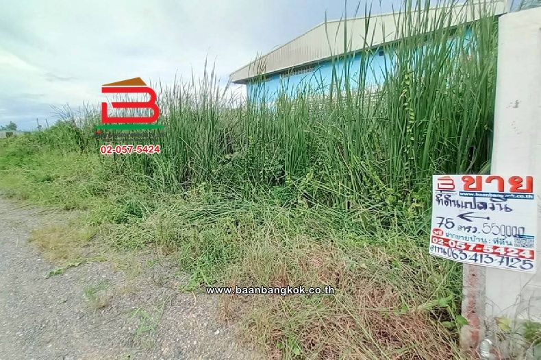 ขายที่ดิน - ที่ดินเปล่า ชุมชนสุสวาส 2 เนื้อที่ 75 ตร.ว (ใกล้การไฟฟ้าส่วนภูมิภาคสถานีไฟฟ้าคลองเจ็ด) ตำบลลำผักกูด อำเภอธัญบุรี ปทุมธานี