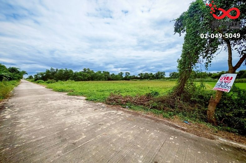 ขายที่ดิน - ขายที่ดิน 2ไร่ คลองสาม คลองหลวง ซ.คลองสาม 14 ปทุมธานี