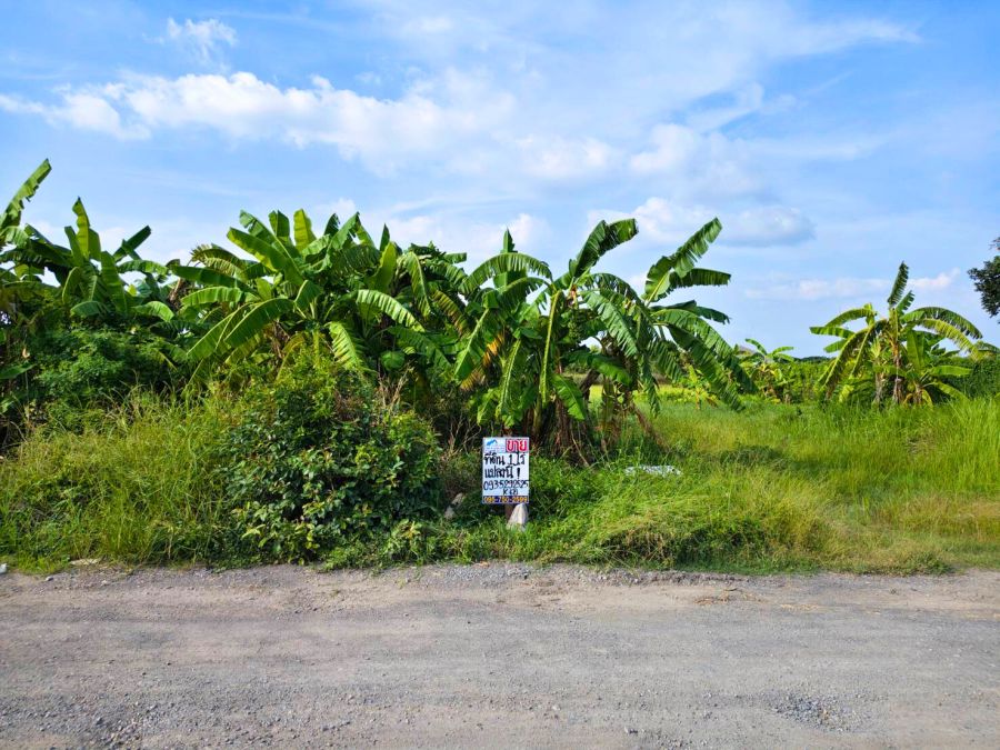 ขายบ้าน - ขายที่ดินซอยคลองห้าตะวันตก 21 ปทุมธานี ซอยคลองห้าตะวันตก 21 ต.คลองห้า อ.คลองหลวง จ.ปทุมธานี