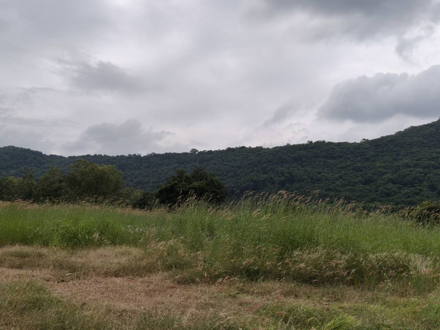 ขายที่ดิน - ขายที่เขาใหญ่ หนองสาหร่าย ปากช่อง 8ไร่ วิวเขาล้อมรอบ ใกล้ภูเขา ที่อยู่บนเนินสุดเทควิวสวยมาก ใกล้ 2235 650ม. ใกล้ถนนมิตรภาพ ใกล้ร้านค้าชุมชน ตลาดเซเว่น