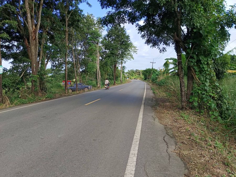 ขายที่ดิน - ขายที่ดินย่านรี 5 ไร่ ติดถนนเส้นบ้านตรอกปลาไหล ใกล้ตลาดขุนวิชัย-8กม. อ.กบินทร์บุรี ปราจีนบุรี