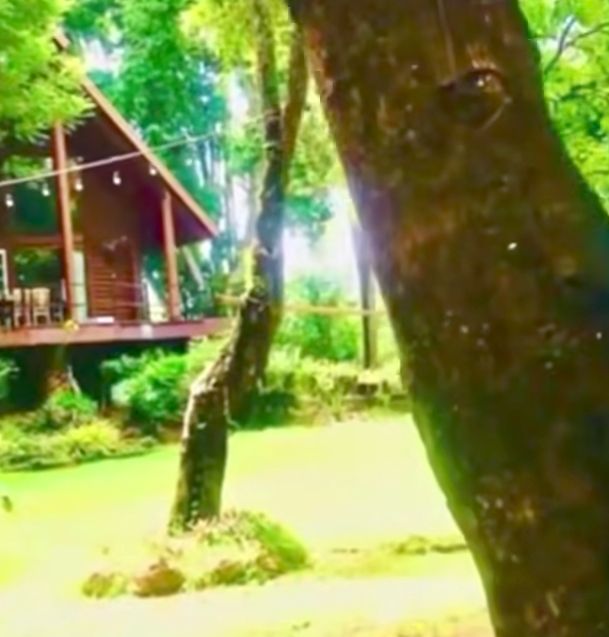 ขายบ้าน - ขายกิจการรีสอทร์ตำบลออนใต้สันกำแพงพร้อมดำเนินการได้เลย