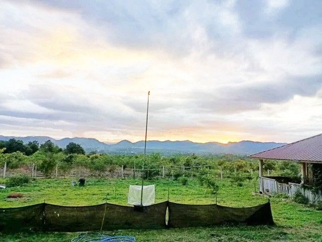 ขายที่ดิน - ขายที่ดินลี้ ลำพูน 23 ไร่กว่า วิวภูเขา บรรยากาศธรรมชาติ ราคาดี