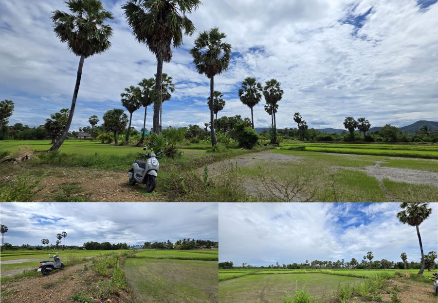 ขายที่ดิน - ที่ดินสวย วิวภูเขาทุ่งนาป่าตาล อากาศดีอุดมสมบูรณ์ 2ไร่2งาน24ตรว. ในชุมชนติดถนน-หมู่บ้าน ใกล้ไฟฟ้า-ประปา-สาธารณูปโภค-คลอง-ถนนใหญ่-แหล่งท่องเที่ยว