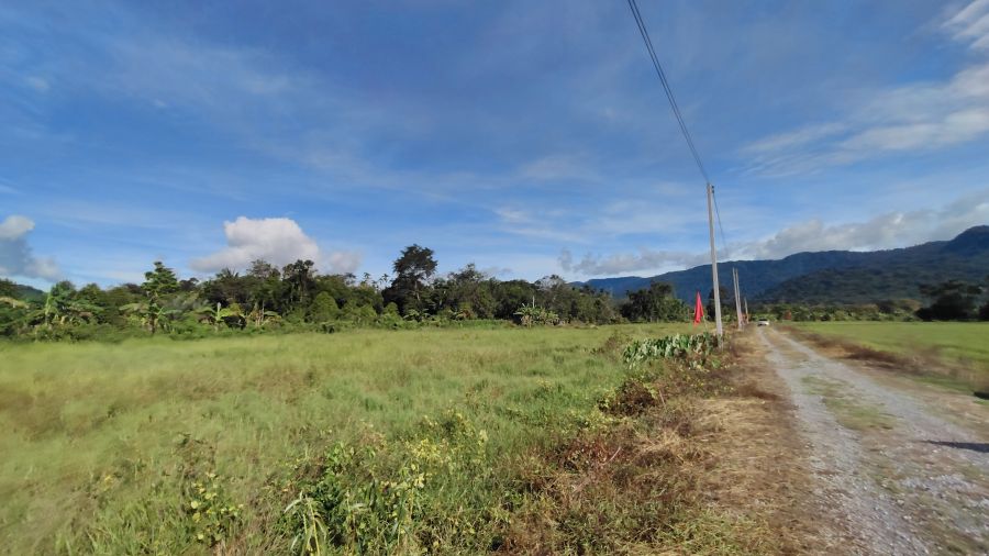 ขายที่ดิน - ขายที่ดินโฉนด มี 5 แปลง แปลงละ 1 ไร่ วิวเขาล้อมรอบ