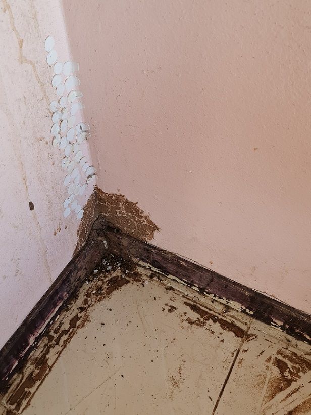 ขายที่ดิน - บ้านชั้นเดียวยกพื้นสูง บรรยากาศดีมาก เข้า.ออกสะดวก ใกล้เลี่ยงเมือง.มิตรภาพ เข้าเมือง 10นาที ท้ายบ้านโนนตุ่น เมืองขอนแก่น (ราคาต่ำกว่าราคาประเมินแบงค์)