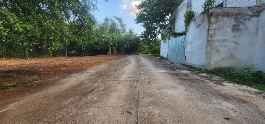 ขายที่ดิน - ขายที่ดินตำบลหนองควายหางดงห่างพืขสวนโลก 1.4กม