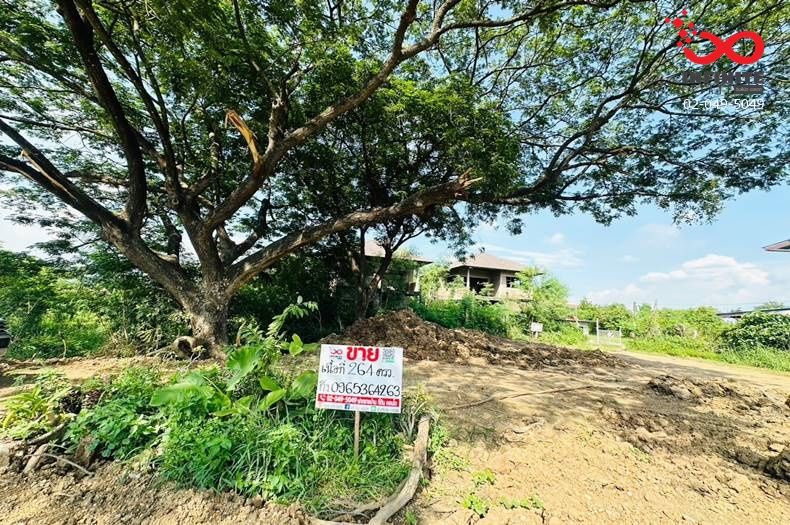 ขายที่ดิน - ขายที่ดิน 264ตร.ว. ติดถนน ท่าช้าง นครหลวง อยุธยา