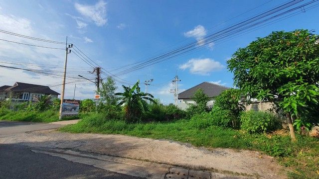 ขายที่ดิน - ขายที่ดินเปล่าใจกลางเมือง สุราษฎร์ธานี ทำเลทองในเมือง เข้าทางถนนอำเภอ 2 สามารถเชื่อมต่อถนนการุณราษฎร์ได้