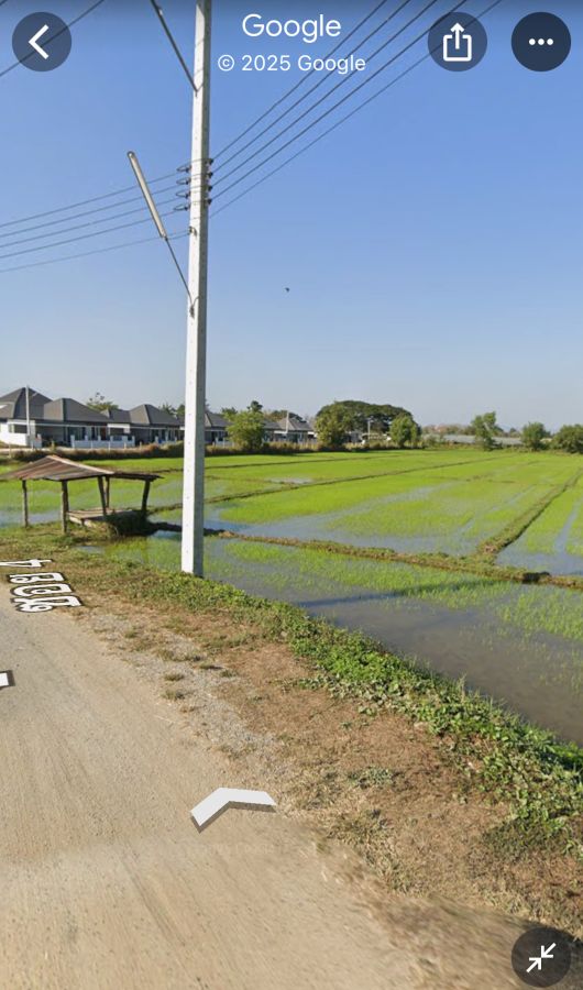 ขายที่ดิน - ทำเลทองที่สันกำแพง เชียงใหม่ ขาย 3 ไร่ 1 งาน 17 ตร.วา