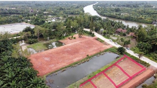 ขายที่ดิน - ขายที่ดินเปล่าจัดสรร ติดโครงการเดอะ ริเวอร์ เรสสิเดนซ์ สุราษฎร์ธานี ทำเลศักยภาพ เหมาะสำหรับสร้างบ้านพักอาศัยในโซนชุมชนคุณภาพ
