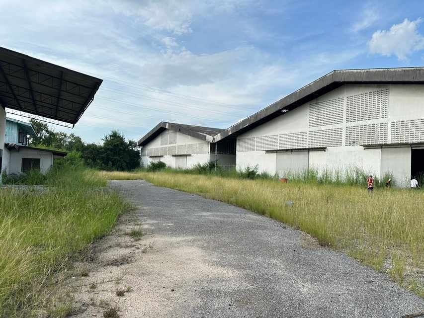 ให้เช่าโรงงาน / โกดัง - ให้เช่าโกดัง/คลังสินค้า ย่านต.นาป่า จ.ชลบุรี ราคาเช่าดีมาก ขนาด 10,500 ตรม. 2 หลัง บนพื้นที่ 9 ไร่